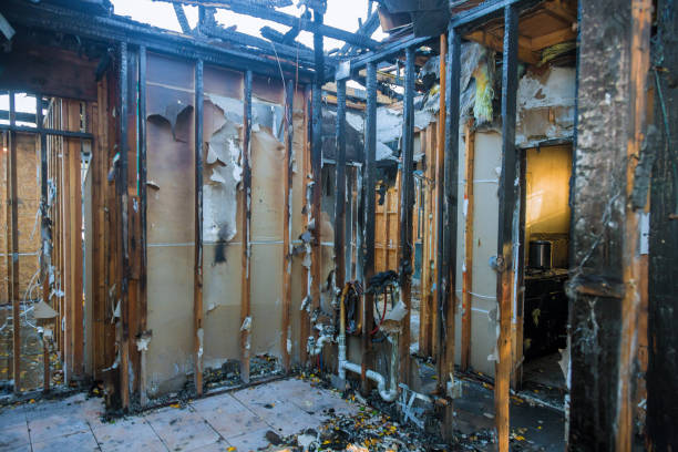 Professional Smoke Damage Removal technician working in Ontario, CA